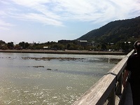 ODEKAKE_2012109_kyoto_arashiyama_14